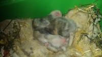/album/fotogaleria/nu3-jpg/